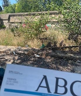 Imagen secundaria 2 - Basuras en la Isla de la Cartuja. Las fotos fueron tomadas el lunes, miércoles y viernes de la semana pasada. Lipasam no pasa por aquí