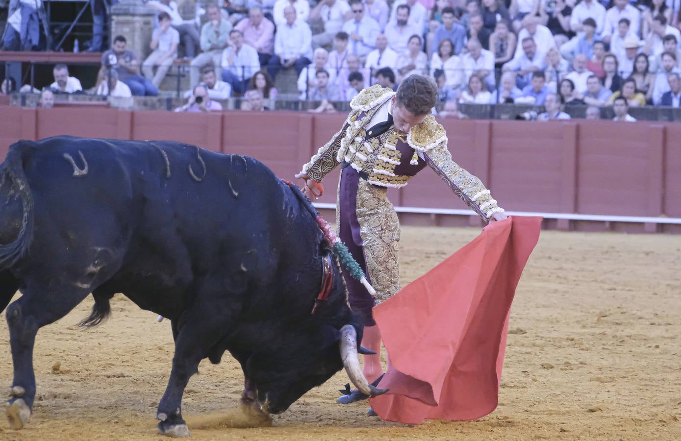 Calerito, en la corrida del dieciséis de abril de 2023 en la Plaza de Toros de Sevilla 