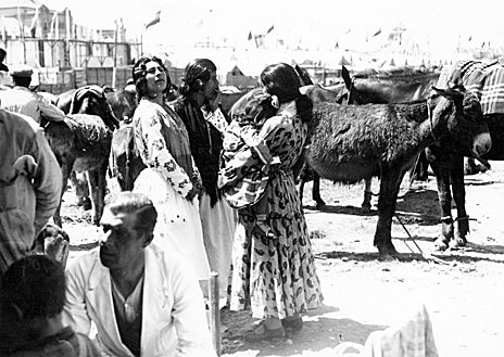 Imagen secundaria 1 - La Feria de ganado del Prado de San Sebastián 