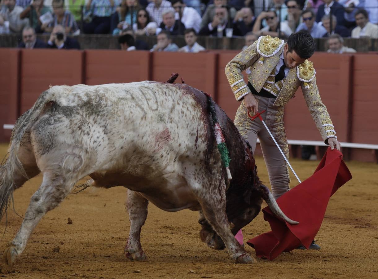 José Garrido, en un momento de su actuación este miércoles en la Maestranza