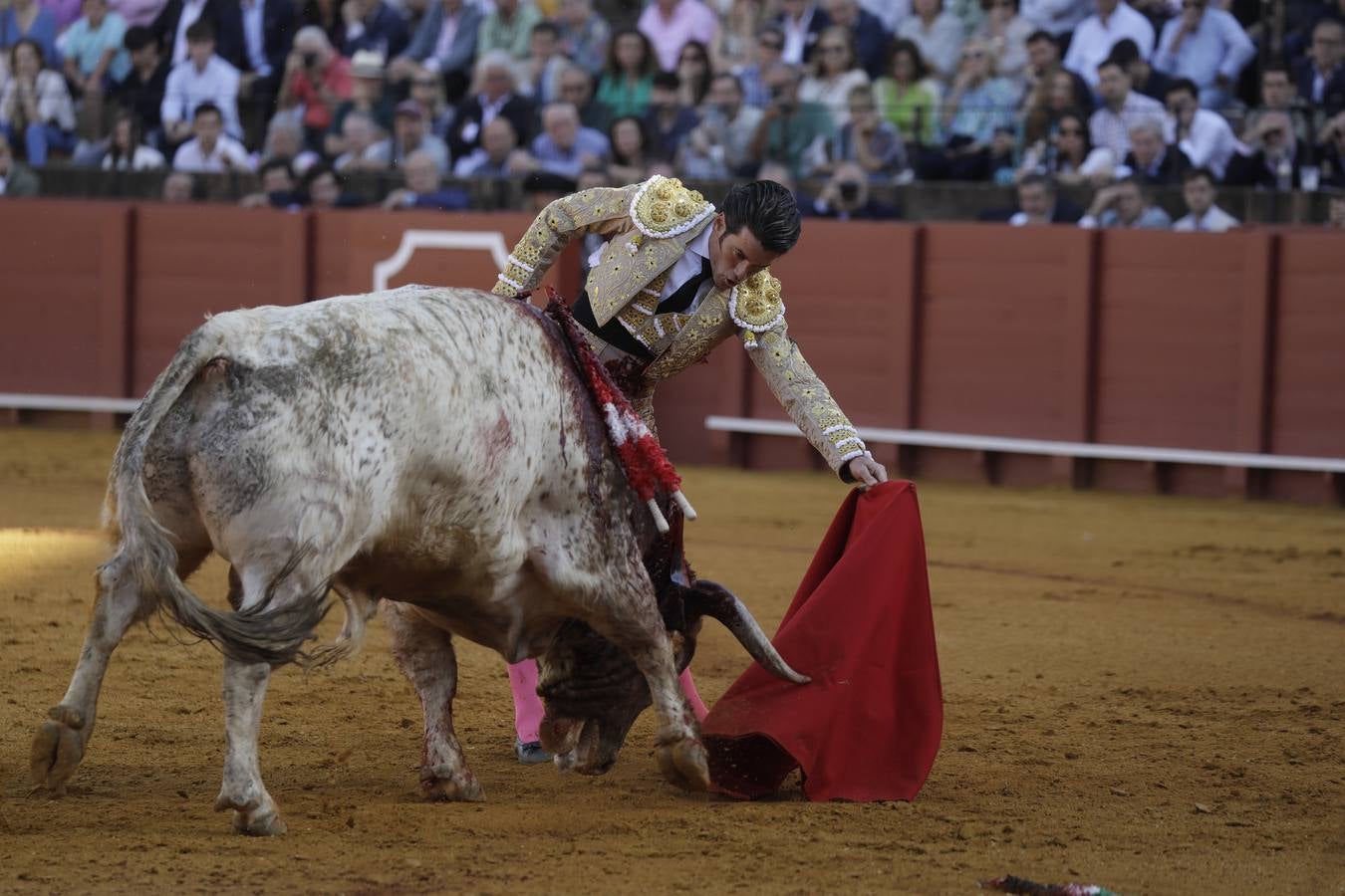 José Garrido, en un momento de su actuación este miércoles en la Maestranza