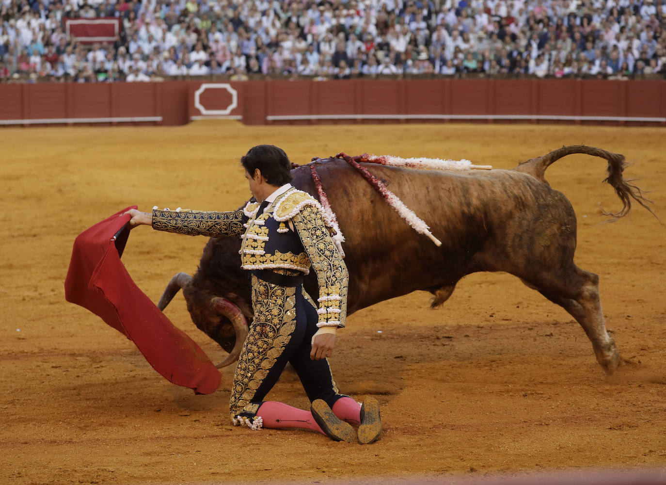 Roca Rey triunfa en la corrida de Núñez del Cuvillo y sale en hombros de la Maestranza de Sevilla