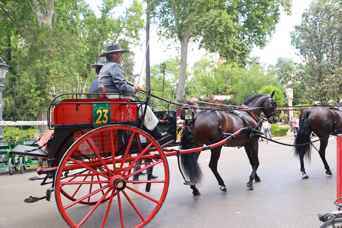 Participantes en el XI Campeonato Internacional de Enganches de Tradición (CIAT) y la Copa de Naciones, en la Plaza de España