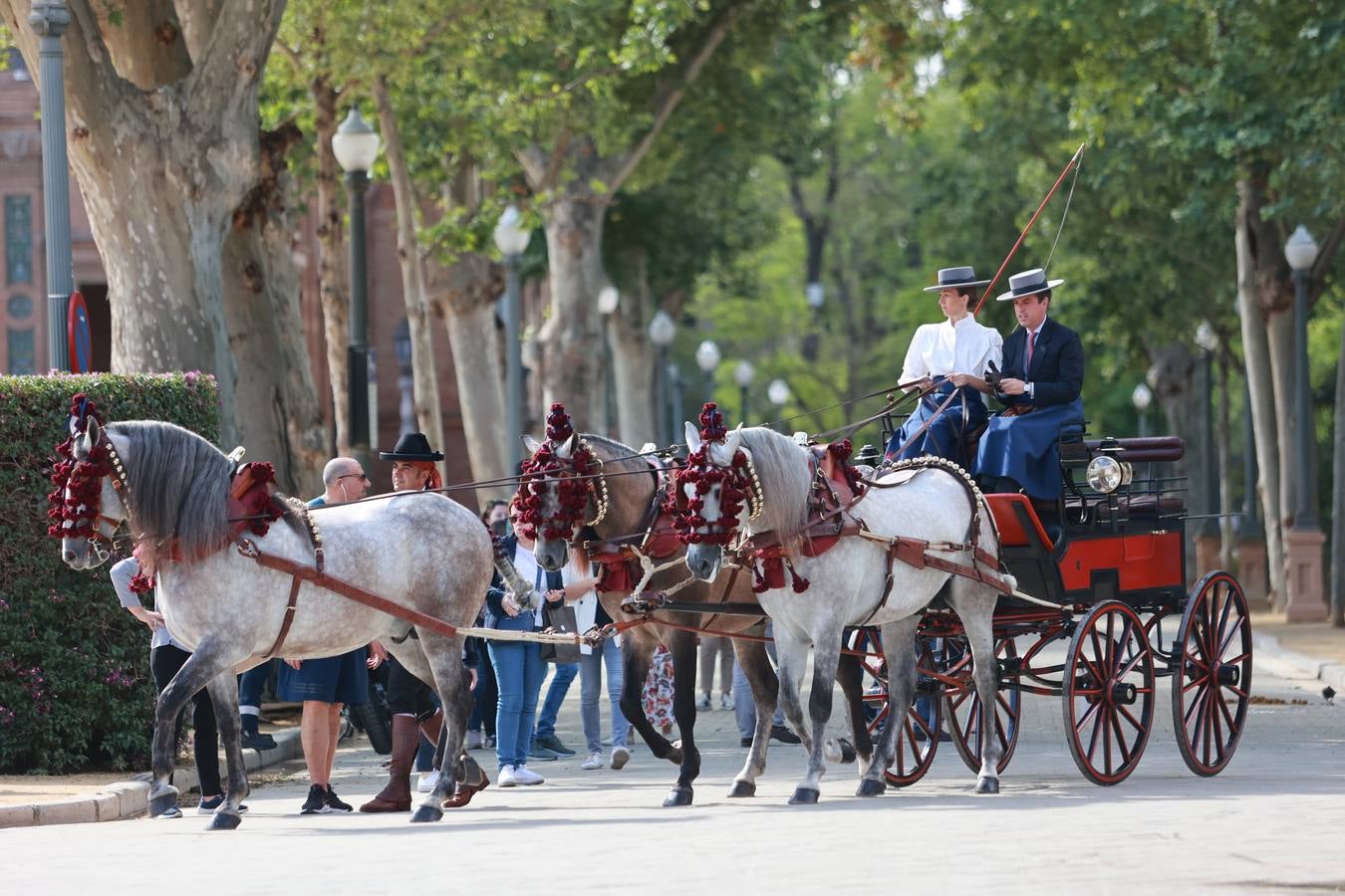 Participantes en el XI Campeonato Internacional de Enganches de Tradición (CIAT) y la Copa de Naciones, en la Plaza de España