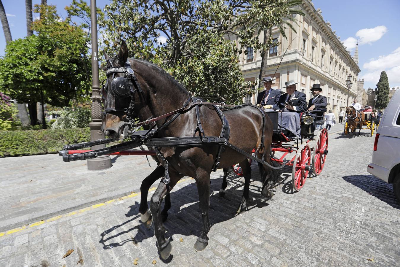 Participantes en el XI Campeonato Internacional de Enganches de Tradición (CIAT) y la Copa de Naciones, en la Plaza de España
