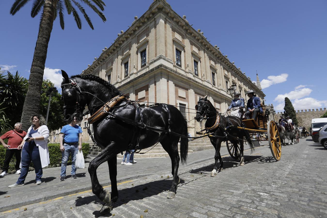 Participantes en el XI Campeonato Internacional de Enganches de Tradición (CIAT) y la Copa de Naciones, en la Plaza de España