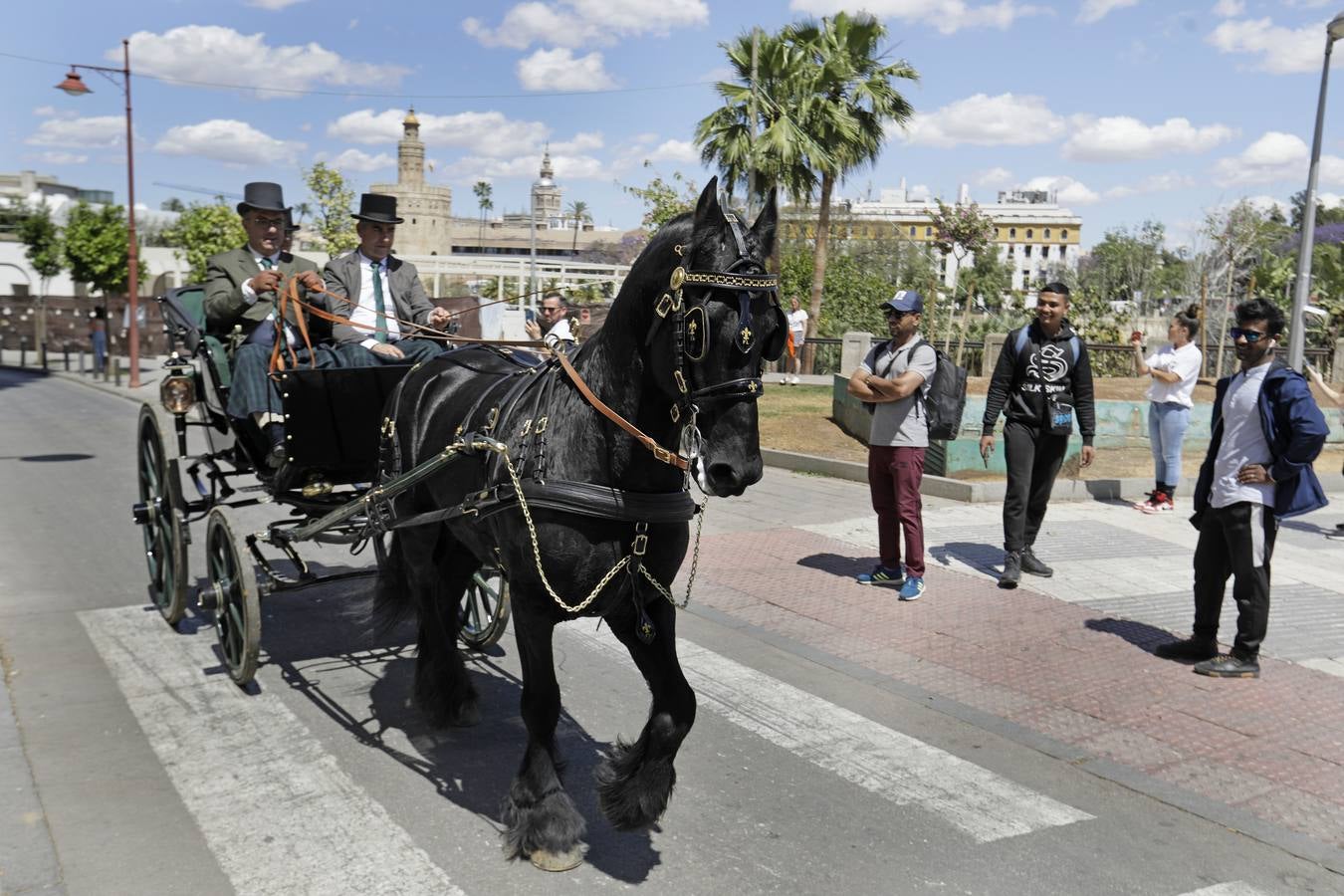 Participantes en el XI Campeonato Internacional de Enganches de Tradición (CIAT) y la Copa de Naciones, en la Plaza de España