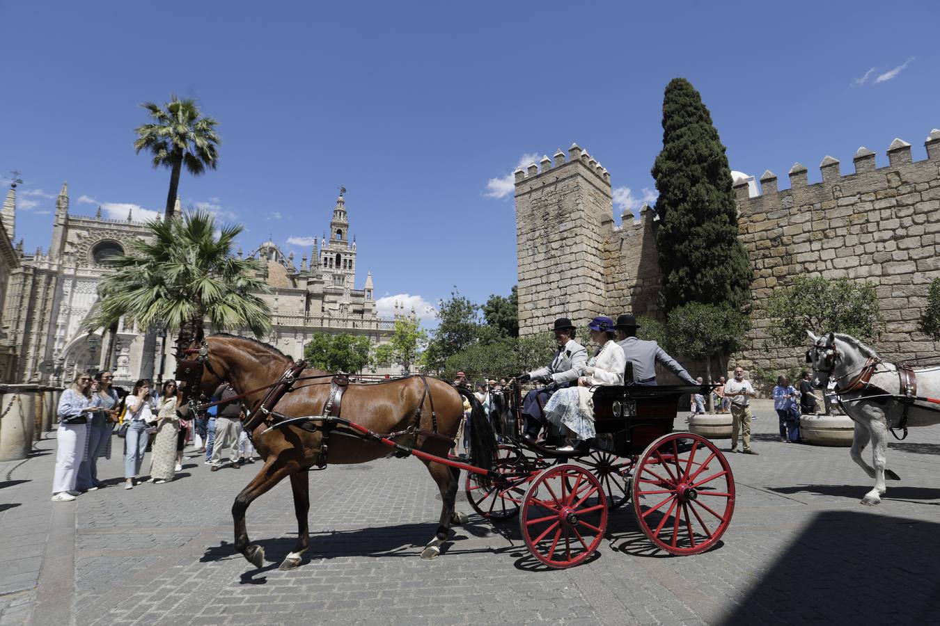 Participantes en el XI Campeonato Internacional de Enganches de Tradición (CIAT) y la Copa de Naciones, en la Plaza de España