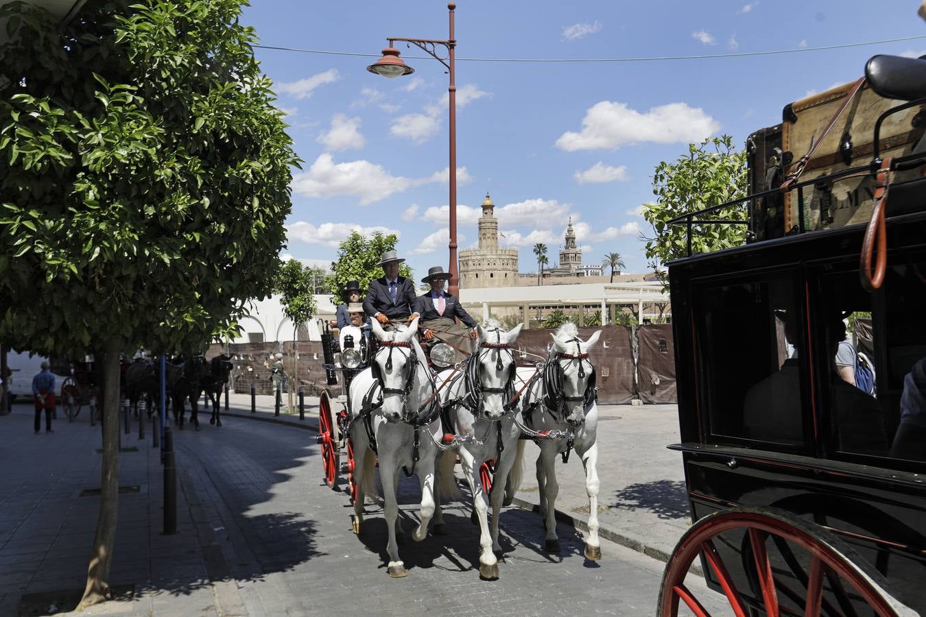 Participantes en el XI Campeonato Internacional de Enganches de Tradición (CIAT) y la Copa de Naciones, en la Plaza de España