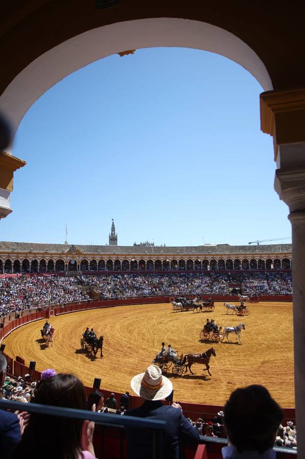 Exhibición de Enganches de 2023 en la Real Maestranza de Caballería de Sevilla