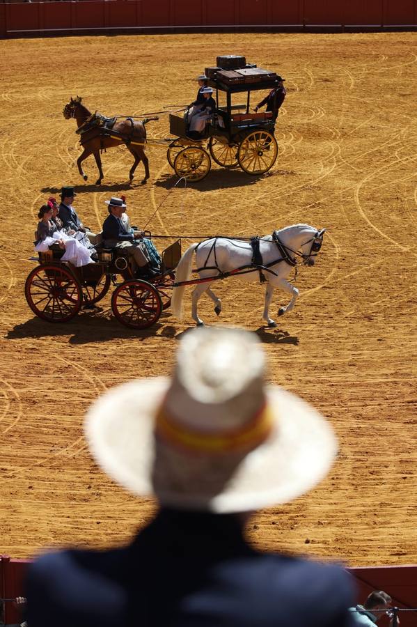 Exhibición de Enganches de 2023 en la Real Maestranza de Caballería de Sevilla