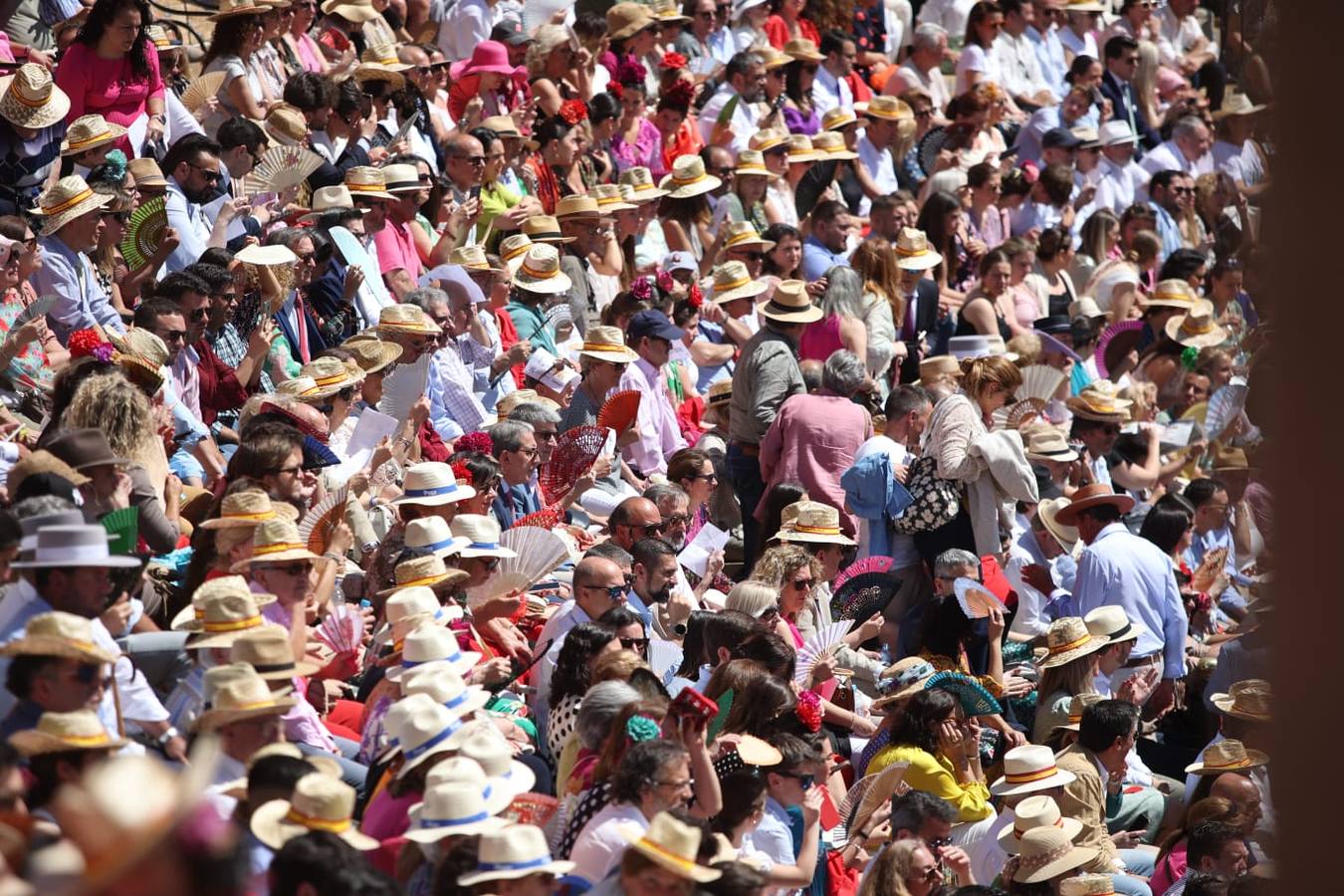 Exhibición de Enganches de 2023 en la Real Maestranza de Caballería de Sevilla