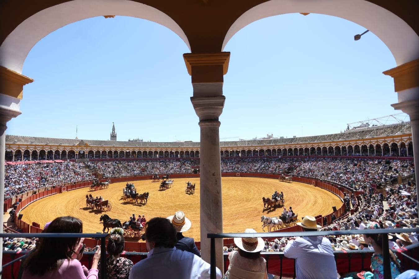 Exhibición de Enganches de 2023 en la Real Maestranza de Caballería de Sevilla
