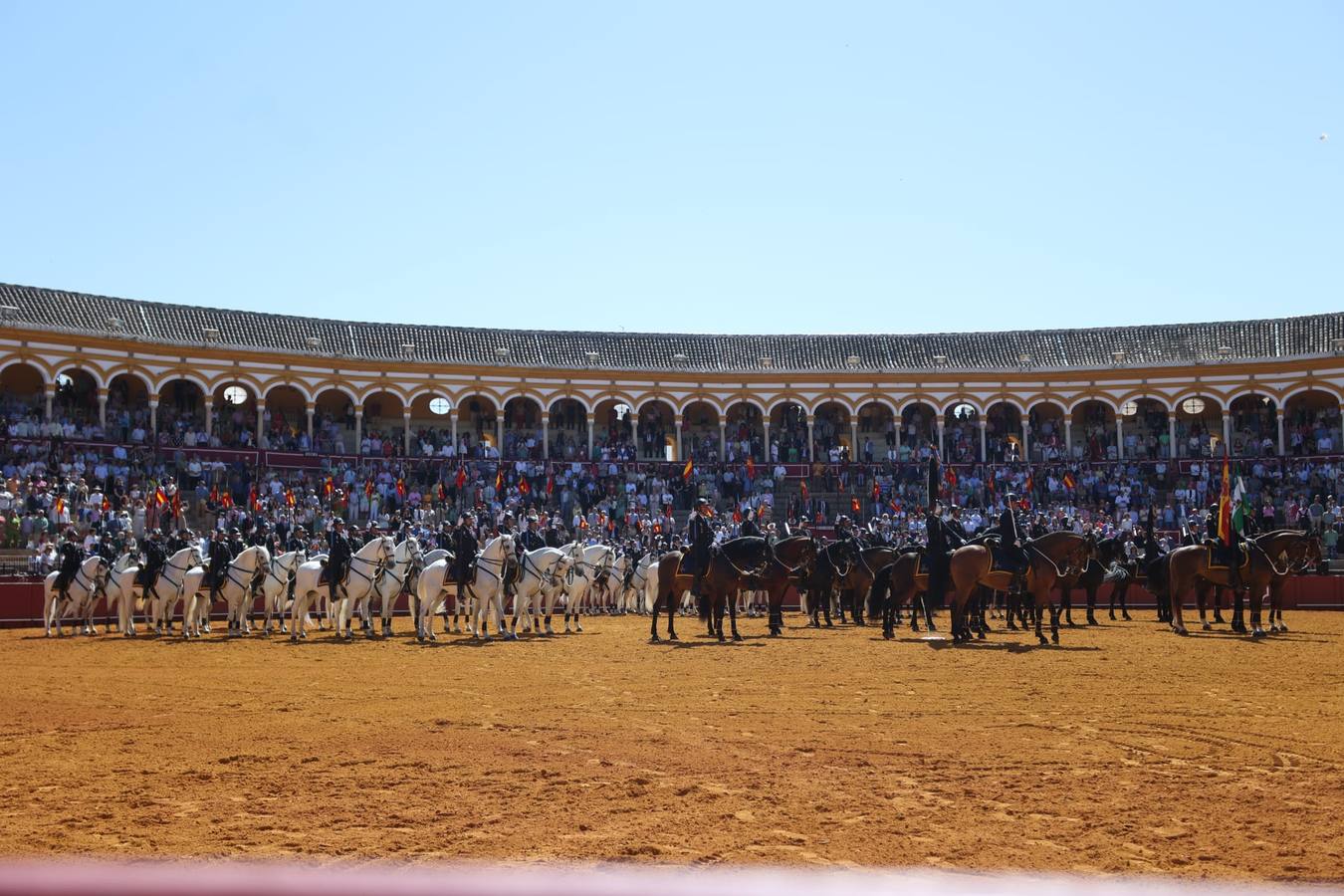 Exhibición de Enganches de 2023 en la Real Maestranza de Caballería de Sevilla