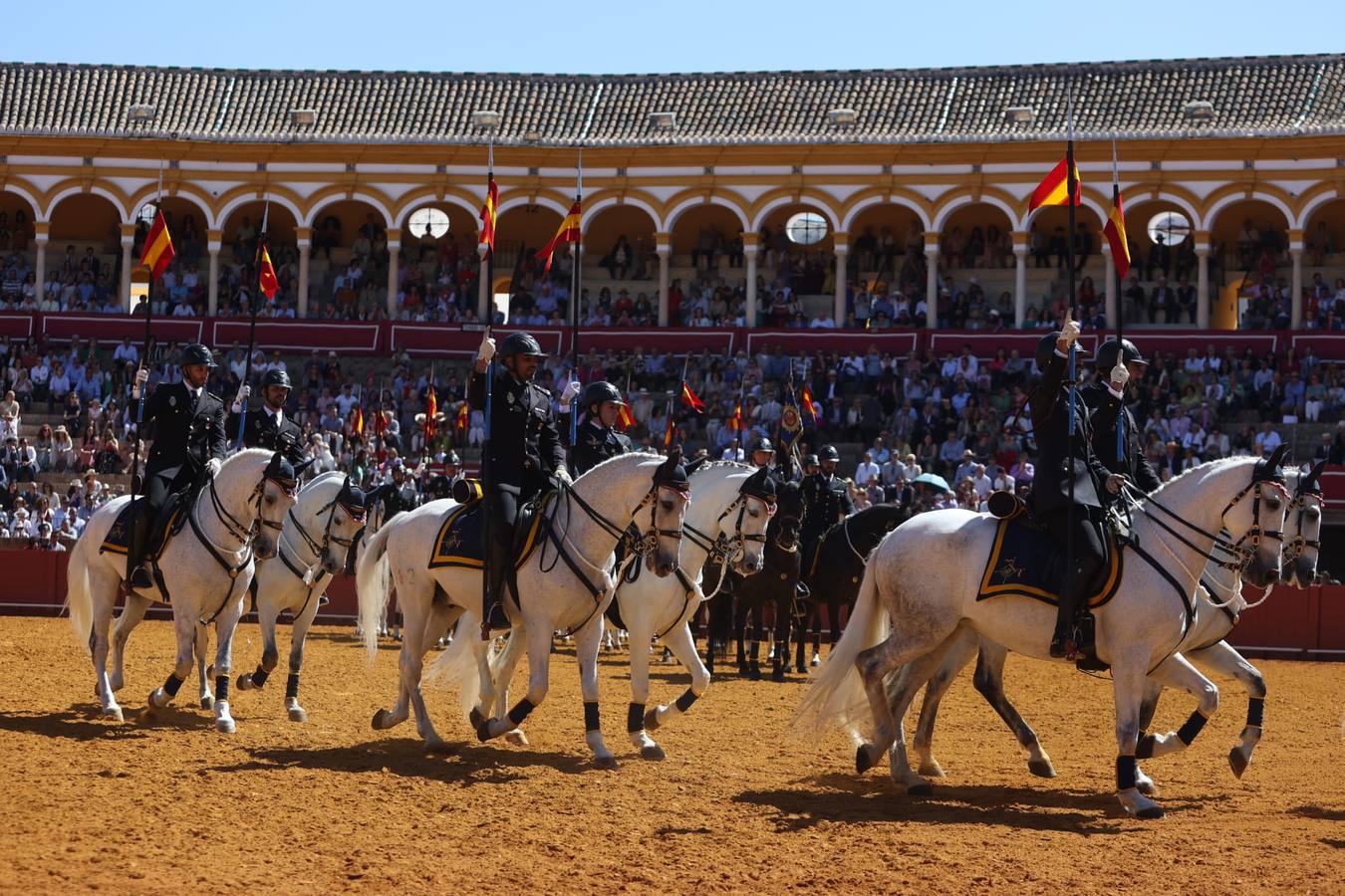 Exhibición de Enganches de 2023 en la Real Maestranza de Caballería de Sevilla