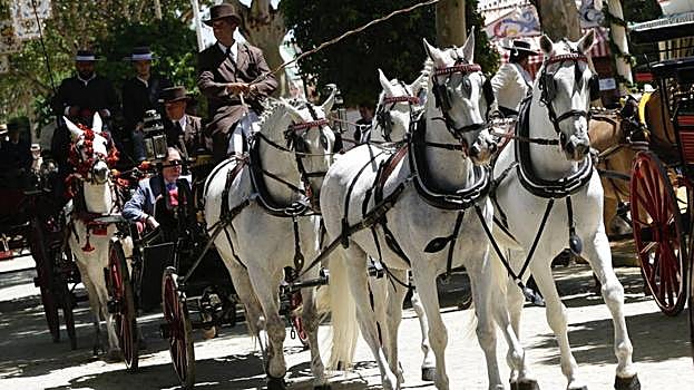 La Feria vive un domingo de esplendor