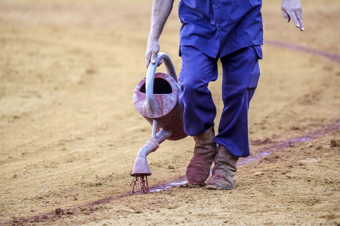 Detalle de la corrida de Morante de la Puebla, Alejandro Talavante y Emilio de Justo