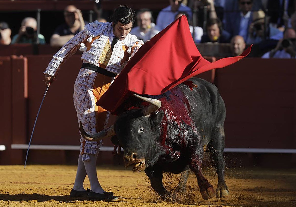 Morante de la Puebla, este lunes en la plaza de toros de Sevilla