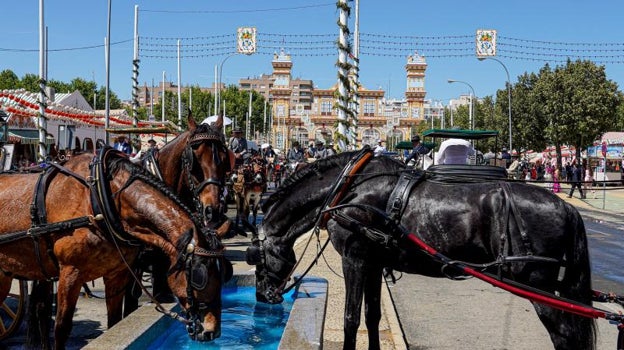 El abrevadero fue ayer de los lugares más concurridos de la Feria