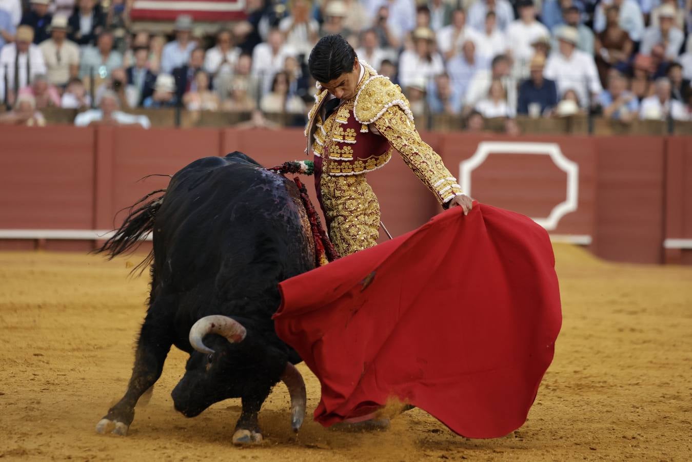 Pablo Aguado, durante su actuación este jueves de farolillos