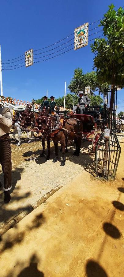 Fotos de nuestros lectores de esta Feria de Abril 2023