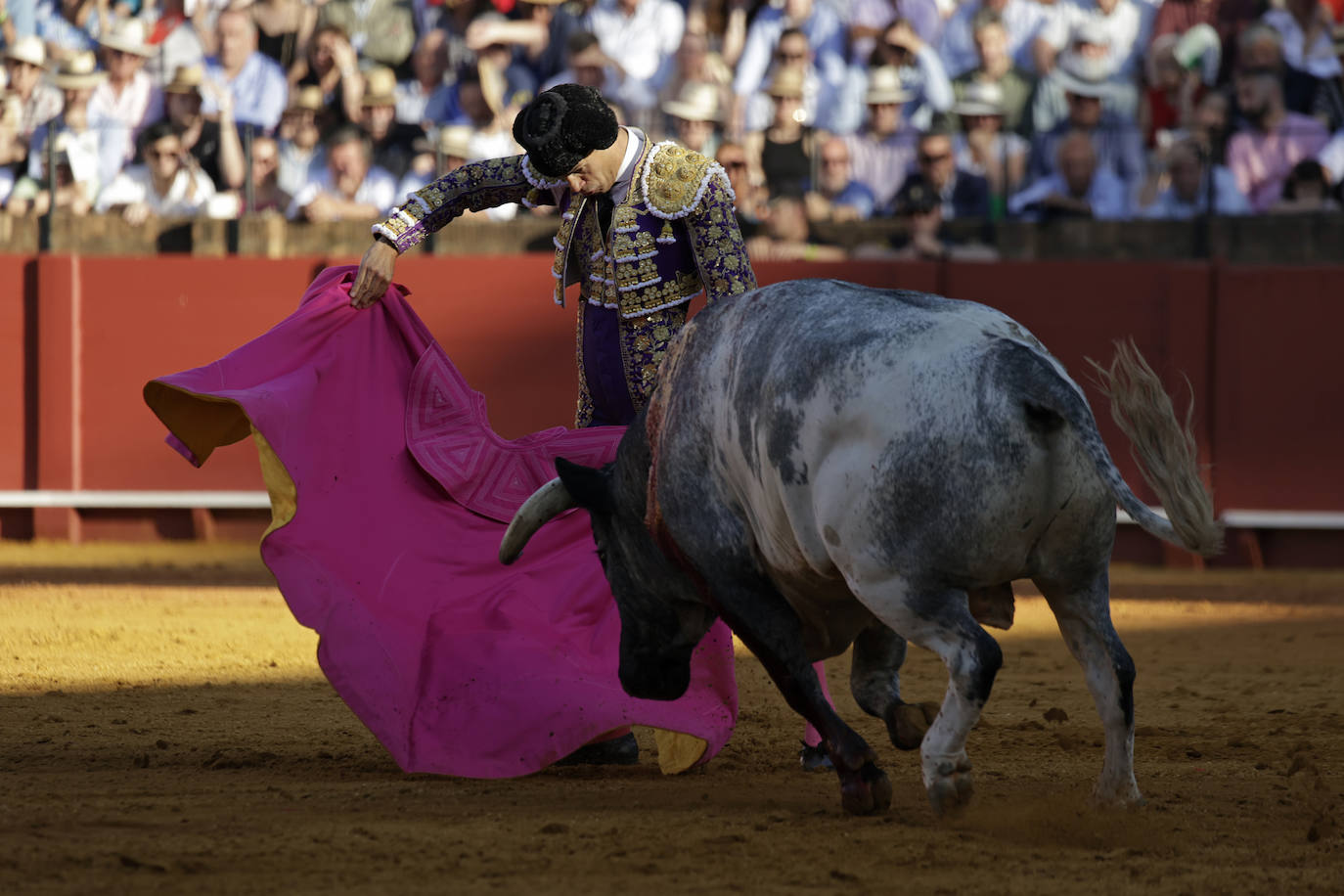 Pablo Aguado en el estreno del hierro La Quinta en la Maestranza