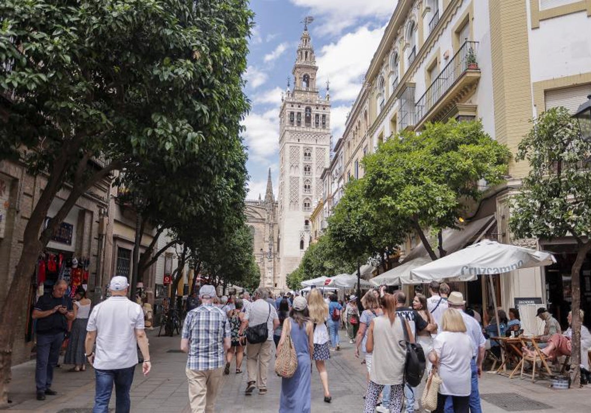 Paseo por una de las calles emblemáticas de Sevilla, Mateos Gago, con la Giralda al fondo