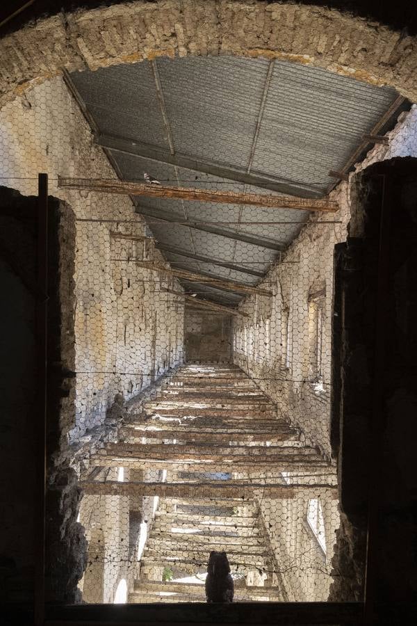 Estado actual de las instancias de lo que fuera el monasterio de San Agustín