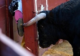 Jerez recupera tras más de tres décadas su corrida de toros concurso de ganaderías