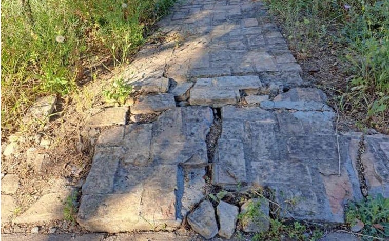 Imagen principal - Arriba, la mayoría de las aceras de Simón Verde sufre deterioro, sin que sean reparadas por los ayuntamientos de Gelves y Mairena del Aljarafe. Abajo, a la izquierda, falta de poda en las calles de la barriada, y a la derecha, la suciedad de acumula.