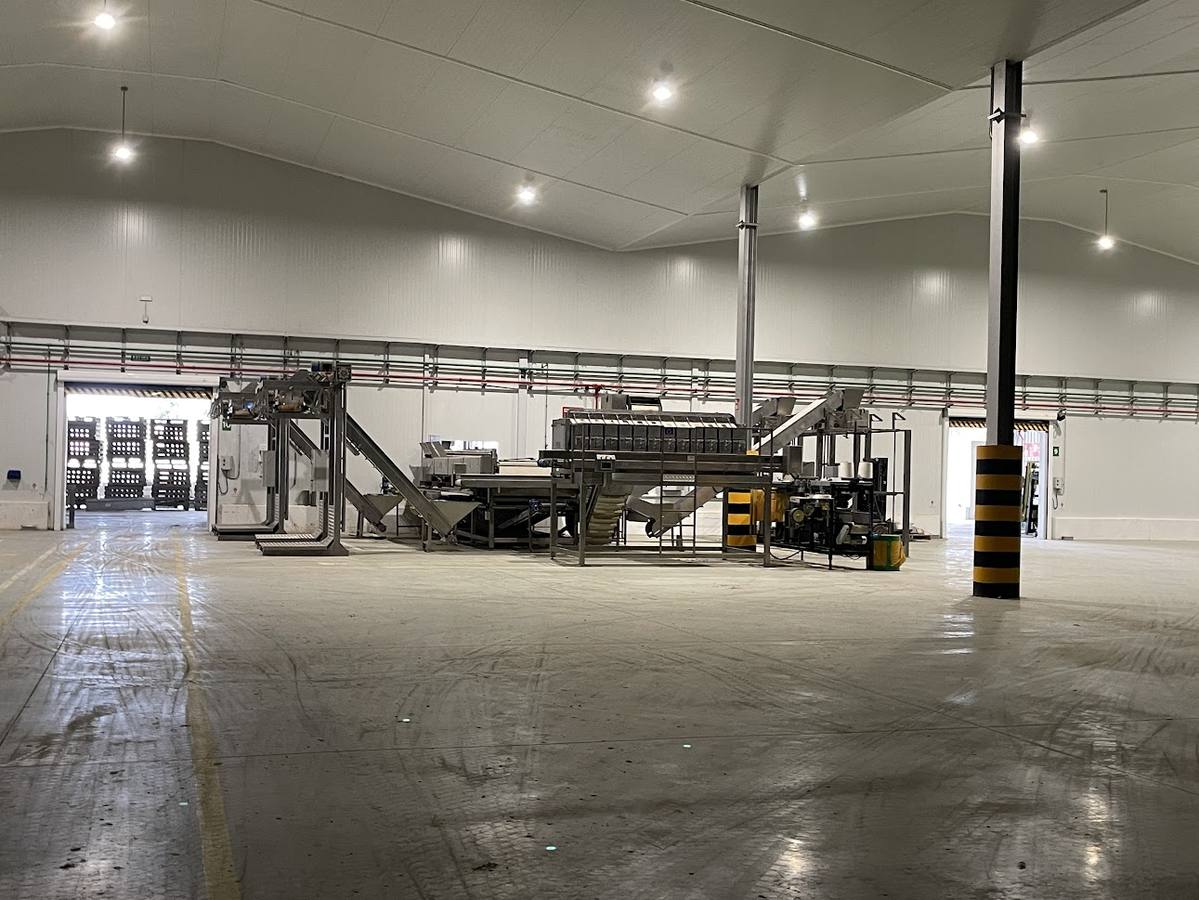 El estado actual del agro sevillano, donde los agricultores no han podido sembrar debido a la sequía