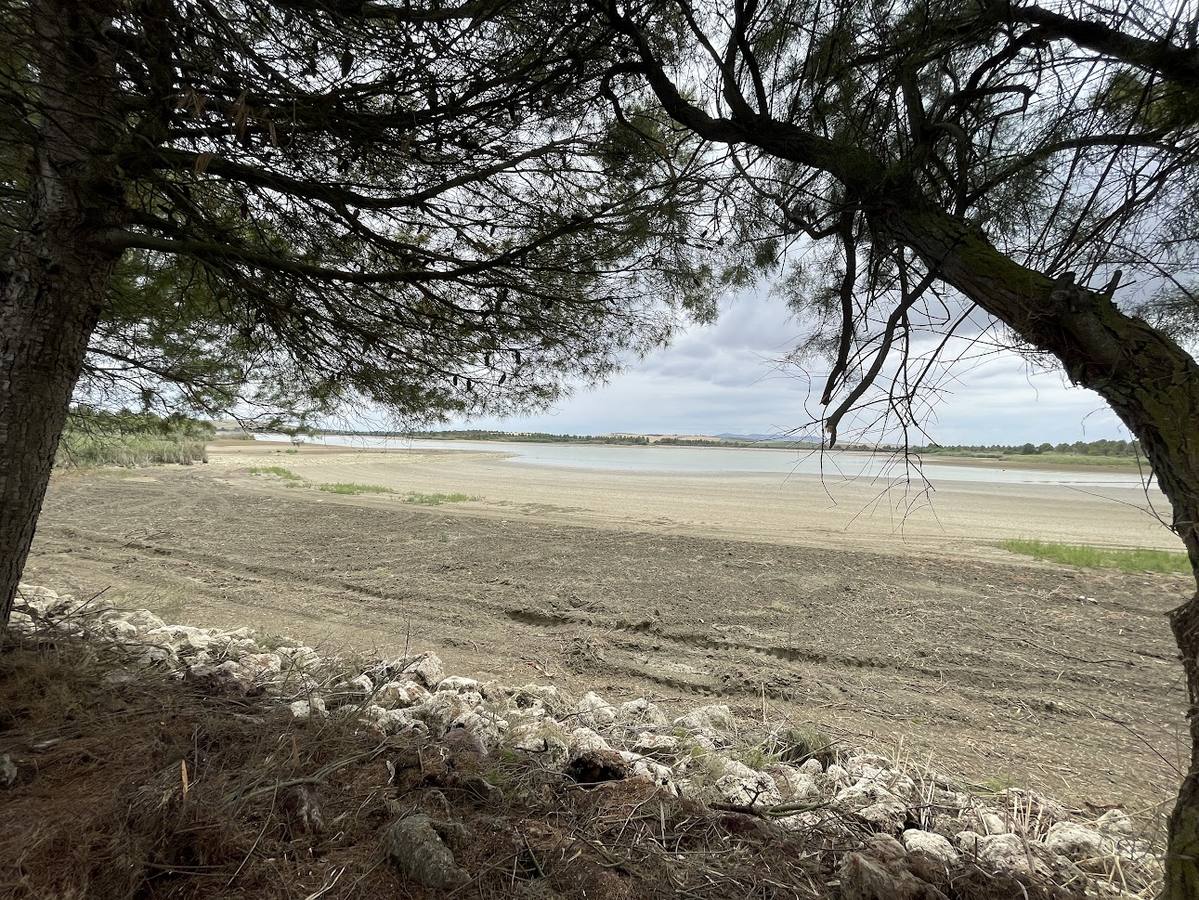 El estado actual del agro sevillano, donde los agricultores no han podido sembrar debido a la sequía