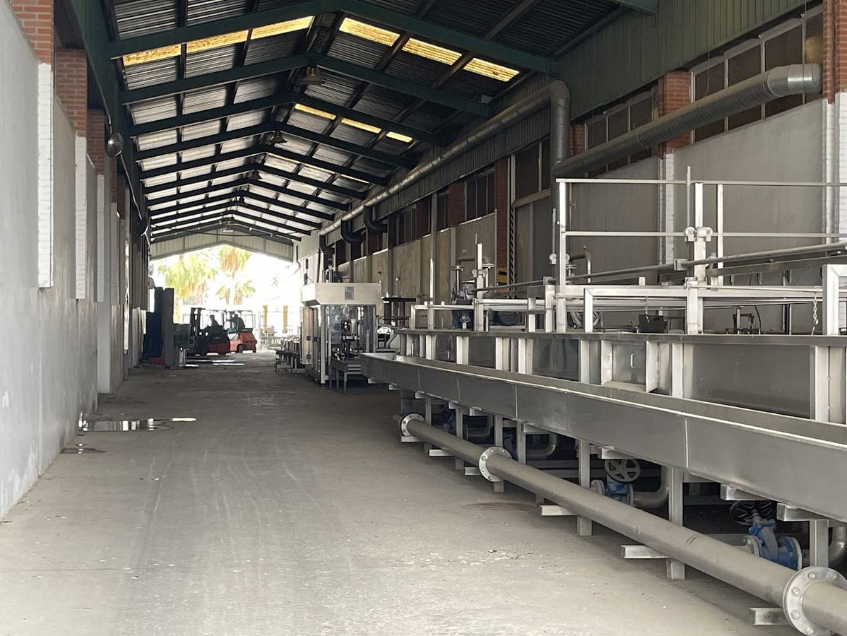 El estado actual del agro sevillano, donde los agricultores no han podido sembrar debido a la sequía