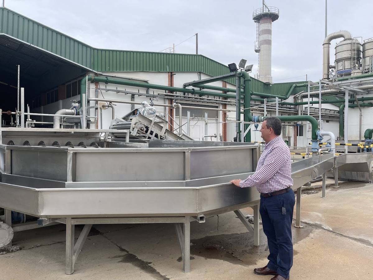 El estado actual del agro sevillano, donde los agricultores no han podido sembrar debido a la sequía