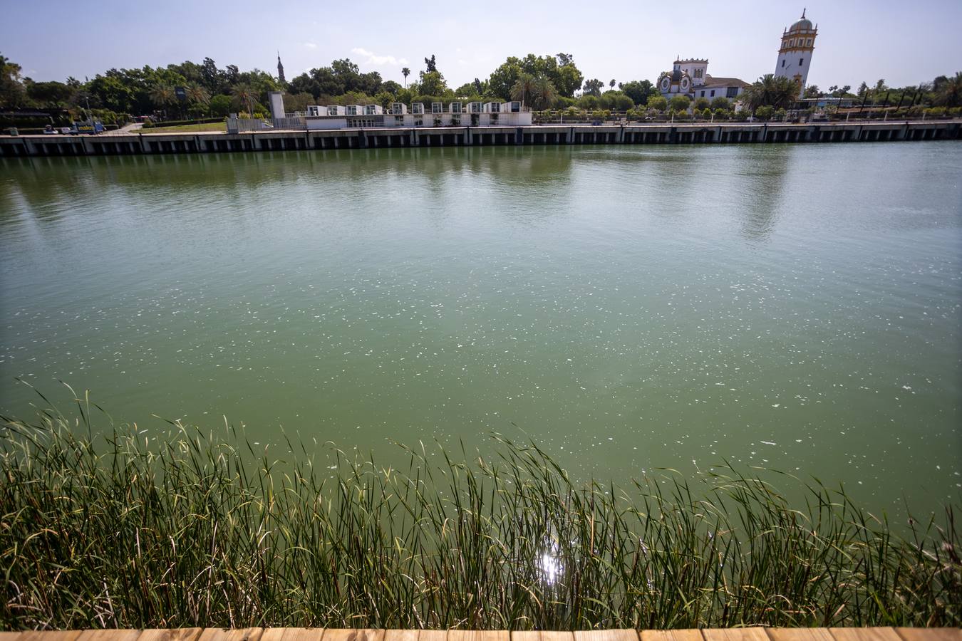 Estado actual de las obras del Jardín de las Cigarreras
