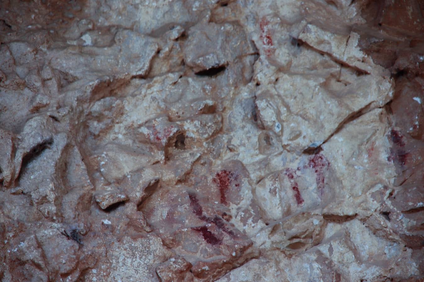 Image de árboles con ramas en la cueva de Coripe