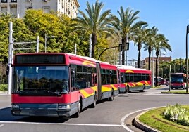 Estos son los precios de los autobuses Tussam de Sevilla tras prorrogarse el descuento del 50%
