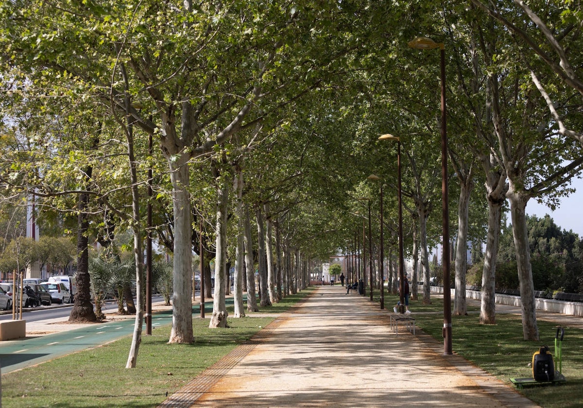 Así ha quedado el tramo del paseo de Torneo entre Plaza de Armas y la Barqueta