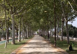El Ayuntamiento de Sevilla apuesta ahora por modificar el proyecto de recuperación del paseo de Torneo hasta el Alamillo