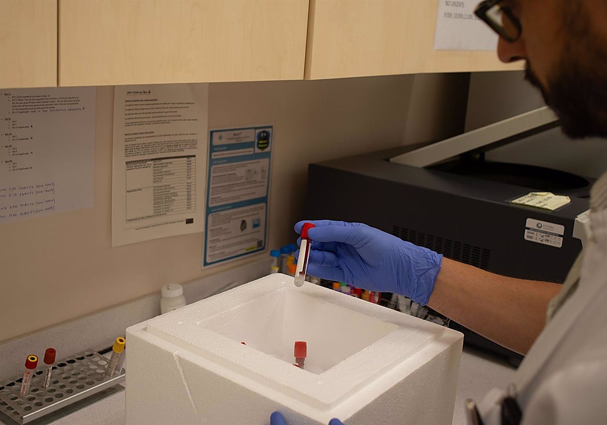 Detalle de la investigación en la que ha participado el hospital Virgen del Rocío