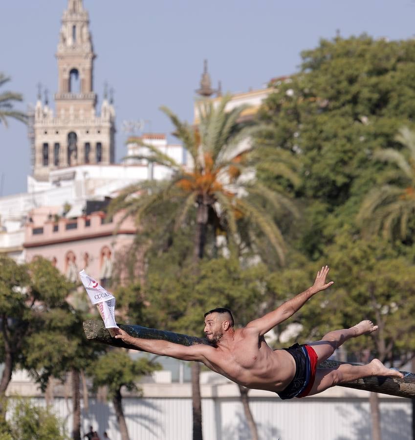 Tradicional cucaña de la Velá de Santa Ana en el barrio de Triana 