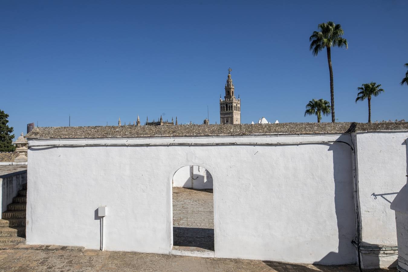 Las zonas ocultas del Alcázar de mayor curiosidad, historia o belleza