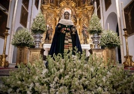 El día de Santa Marta, en imágenes