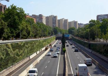 Unos sevillanos construyen el jardín vertical más grande del mundo en la M-30