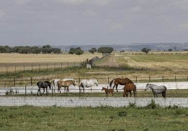 ¿Cómo es por dentro la histórica finca Bucaré que han vendido los Buendía?