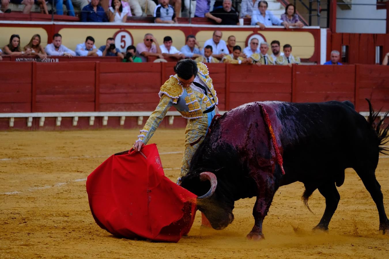 Faena de Juan Ortega, en la Plaza Real de El Puerto de Santa María