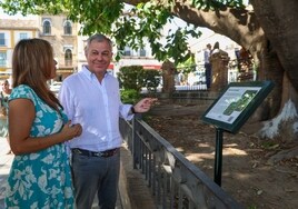 El Ayuntamiento de Sevilla señaliza y «da protagonismo» en la ciudad a los árboles singulares