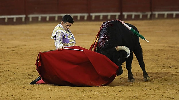 Alejandro Talavante puso a toda la plaza en pie tras una catarata de derechazos de rodillas