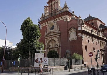 La plataforma del ficus de San Jacinto apoya el acuerdo y ve probado que el árbol «no supone un peligro»