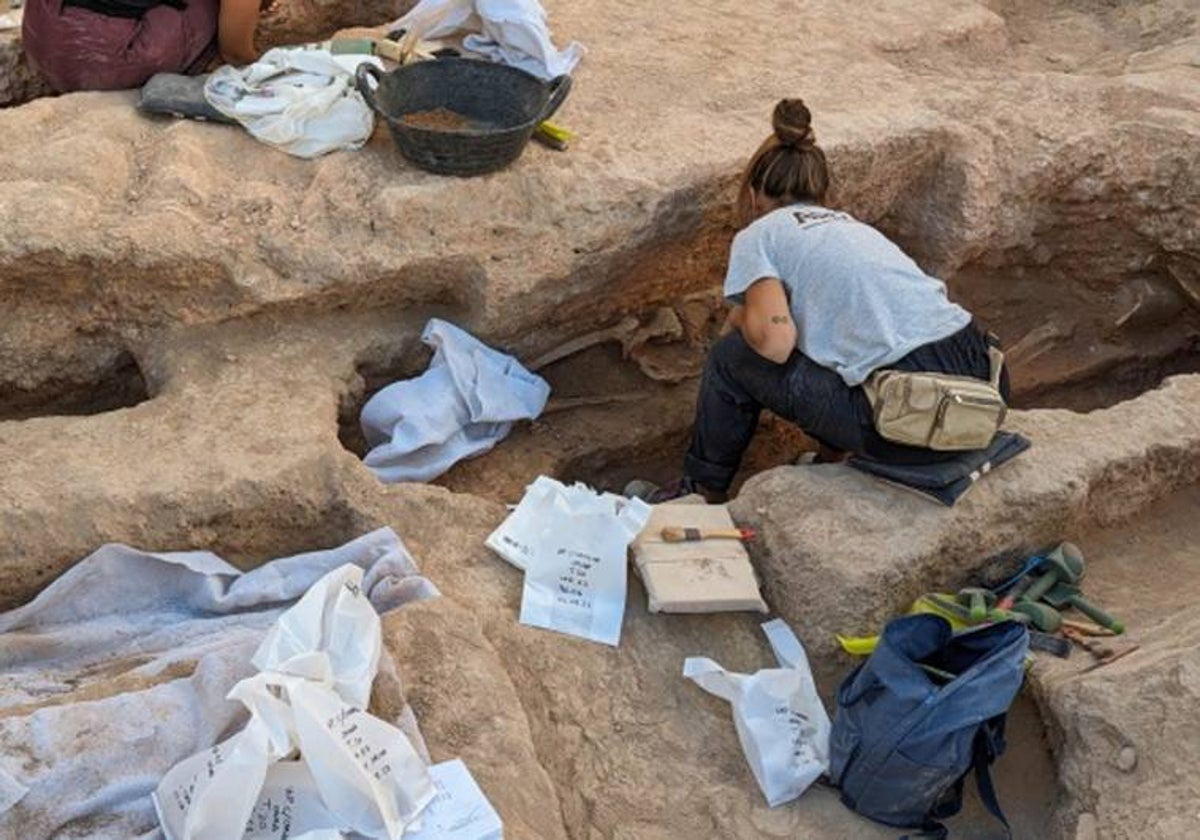 Una persona durante la excavación este verano de una necrópolis andalusí hallada en Osuna